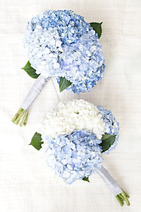 Classic Blue Wedding, Blue Hydrangea Wedding, Hydrangea Bouquet Wedding, Wedding Flowers Hydrangea, Wedding Flower Guide, Idee Babyshower, Blue And White Flowers, Blue Wedding Bouquet, Hydrangeas Wedding