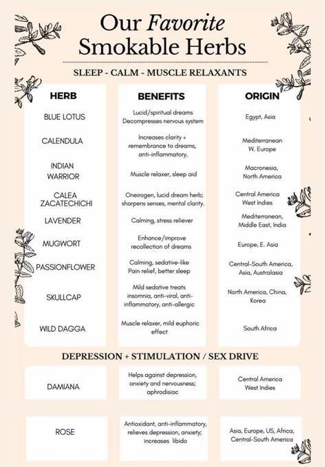 Herbs Recipes Medicinal, Herbs For Tinctures, Mexican Medicinal Herbs, Herbs And Their Uses Natural Remedies, Fennel Herb Benefits, Herbs For Colds Immune System, Herbs For Spirituality, Herb Blends For Tea, Green Witch Herbs And Uses