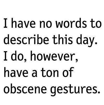 Did he really just ask why I had a bad day?! Medische Humor, Crappy Day, Words To Describe, E Card, Work Humor, Bad Day, A Quote, True Words, Bones Funny