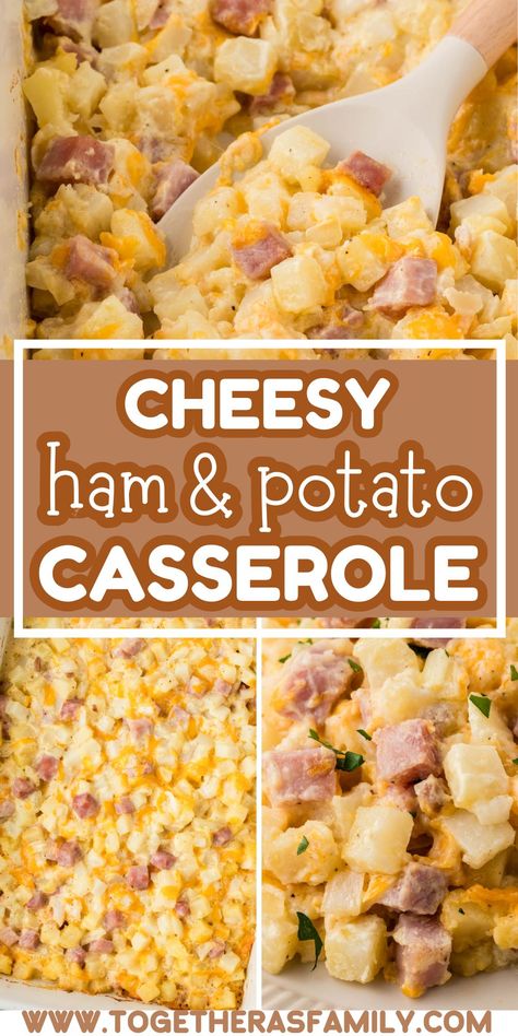 Pillsbury Creamy Ham And Potato Casserole, Easy Dinners With Ham, Using Up Leftover Ham, Potato Egg Cheese Ham Casserole, Cheesey Potatoes Ham Casserole, Chunk Ham Recipes, Recipes Using Cubed Ham, Ham Potato Casserole Recipes, Dinner With Leftover Ham