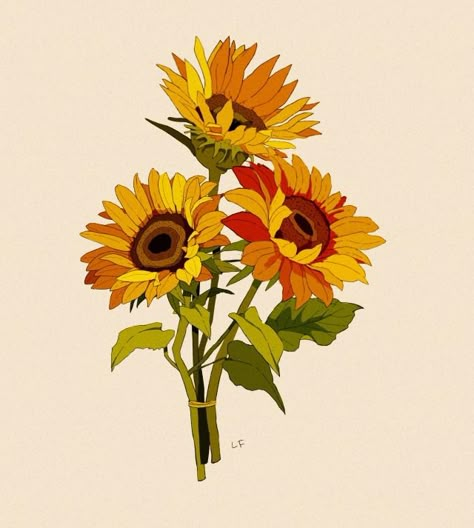 Sunflower Reference Drawing, Sunflower Botanical Illustration, Sunflower Bouquet Drawing, Sunflower Gouache, Sunflower Drawing Aesthetic, Sunflower Illustration Art, Sunflower Reference, Sunflowers Drawing, Sunflowers Illustration