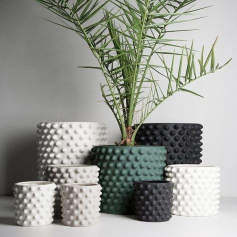 Do It Yourself Decoration, Plant Pot Design, Planter Ceramic, Pot Designs, Ceramic Pots, Diy Clay Crafts, Ceramic Pot, Nature Decor, Ceramic Planters