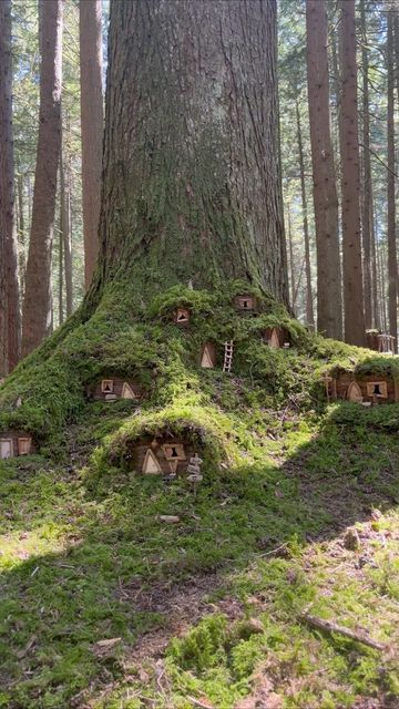 Fairy House Outside, Natural Fairy Houses, Fairy House Diy Natural Materials, Fairy Woods, Gnome Houses, Fairy Tree Houses, Fairy Village, Fairy House Diy, Fairy Garden Crafts