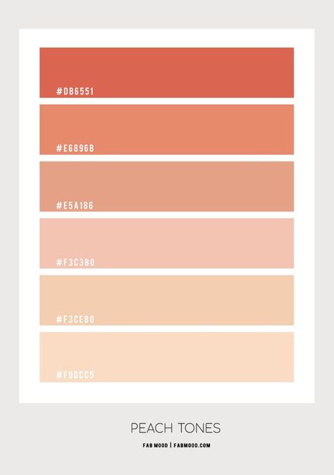 Oct 11, 2020 - Peach Hues Colour inspiration : Peach colour scheme – Beautiful inspiring colour palette of peach. From dark to neutral tones. Related colours blush, dusty peach, neutral, peach, peach echo, Peach Parfait Photo : tavga kadir... Peach Tones Colour Palettes, Peach Hex Code, Peach Palette Color, Peach Color Code, Coral Color Wedding, Peach Pallette, Color Palette Peach, Peach Colour Palette, Peach Pallete