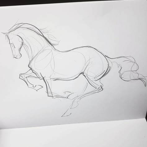 Horse Drawing Inspiration, Horse Drawings Pencil, Horse Drawing Tutorial, Horse Sketches, Horse Art Drawing, Horse Sketch, Fish Drawing, Animal Drawings Sketches, Drawing Hands