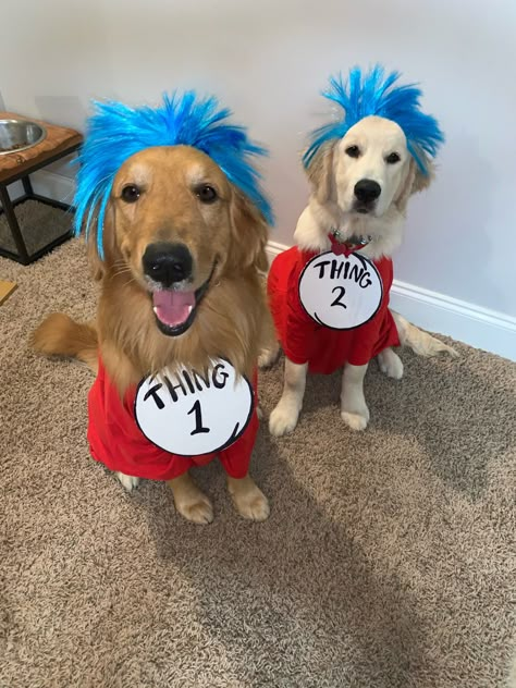 Thing one and thing two dog halloween couple costume Thing One And Thing Two Dog Costumes, Matching Dog Halloween Costumes For 2 Dogs, Cute Dog And Human Halloween Costumes, Dog Pair Halloween Costumes, Matching Dog Costumes For 2 Dogs, Couple And Two Dogs Halloween Costume, Person And Dog Halloween Costumes, Dog Mom And Dog Halloween Costumes, Matching Dog Halloween Costumes