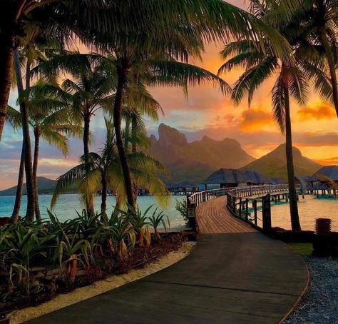 Bora Bora Aesthetic, Bora Bora Trip, Bora Bora Island, Trip To Bora Bora, Bora Bora Honeymoon, Bora Bora French Polynesia, Honeymoon Style, Dream Places, French Polynesia