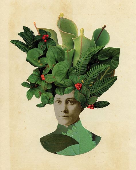 Paper collage by Amber Purdy Botanical Collage, Nature Collage, Collage Portrait, Collage Art Projects, Collage Inspiration, Collage Art Mixed Media, Collage Ideas, Graphic Design Trends, Collage Artists