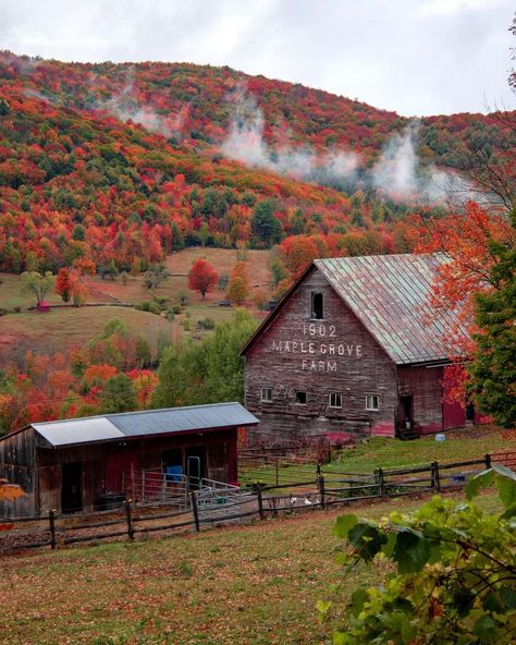 Chandler Anderson on Instagram: “South Royalton - Vermont📍 On my trip Vermont this year I made it a point to photograph red barns. The Maple Grove Farm barn was a must…” Vermont Farms, England Photography, Country Barns, New England States, Maple Grove, Autumn Scenes, Autumn Scenery, Red Barns, Background Photo