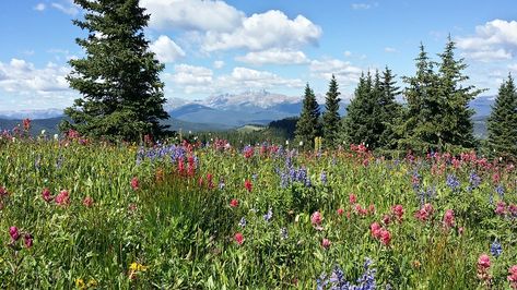 Frisco Colorado, Rainbow Lake, Mount Royal, Summit County, Mountain Getaway, Beautiful Hikes, Fall Hiking, Colorado Travel, Colorado Mountains