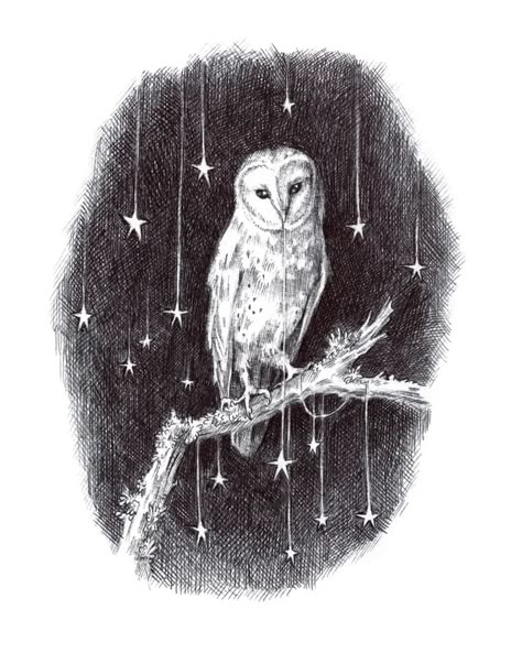 Hello again everyone 😊 Here's my piece 'Nocturne' for you. This is available now as a limited edition print, head on over for the details,… | Instagram Adam Oehlers, Barn Owl Tattoo, Barn Owl Art, Owl Artwork, Barn Owls, Owl Illustration, Owls Drawing, Winter Illustration, Owl Painting