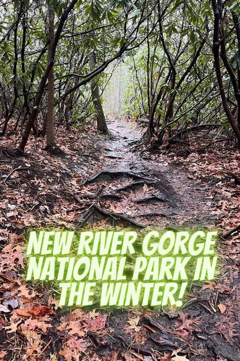 Winter Highlights, New River Gorge National Park, New River Gorge, New River, New Uses, In The Winter, Outdoor Adventure, West Virginia, The Winter