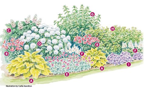 Flower Garden Layouts, Perennial Garden Plans, Flower Garden Plans, Flower Bed Designs, Hydrangea Garden, Garden Design Layout, Garden Wallpaper, Garden Design Plans, Have Inspiration