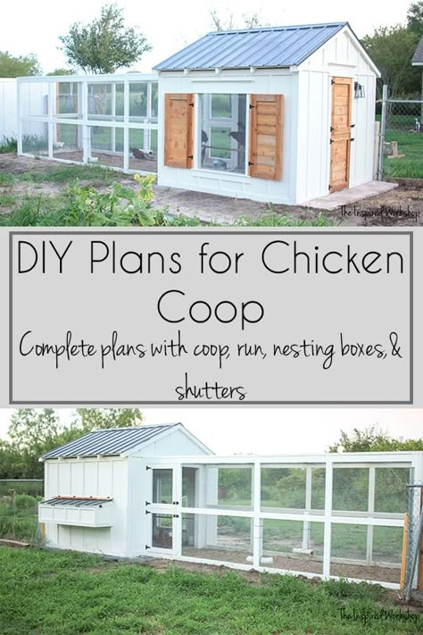 Reban Ayam, Cute Chicken Coops, Chicken Coop Garden, Chicken Pen, Backyard Chicken Coop, Chicken Coup, Backyard Chicken Coop Plans, Diy Chicken Coop Plans, Chicken Coop Run