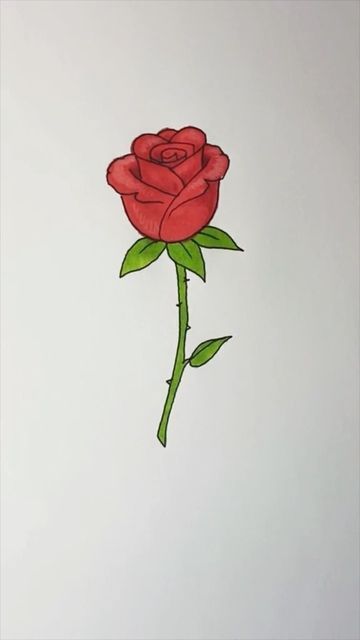 Roses Pencil Drawing, How To Draw Rose Flower, Drawing Ideas Easy Rose, Roses Drawing Simple, Roses Aesthetic Drawing, How To Make Rose Drawing, Rose Pictures Drawing, Red Roses Drawing, Rose Drawing Simple Sketch