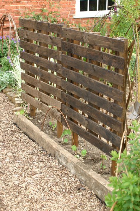 My own attempt at a Trellis screen made from two pallets fixed to posts in a public garden for under fives. The screen has diamond trellis fitted to the back, has been stained and will have climbing Nasturtums growing up it. Homestead Landscaping, Pallet Trellis, Trellis Screen, Rural Garden, Grape Vine Trellis, Garden Screens, Garden Screen, Vine Trellis, Cheap Garden