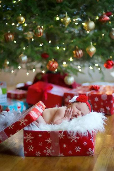 23 Adorable DIY Christmas Baby Photo Ideas - Just Simply Mom Newborn Christmas Pictures, Diy Christmas Photoshoot, Baby Christmas Photography, Newborn Christmas Photos, Christmas Baby Pictures, Christmas Newborn, Kind Photo, Baby Christmas Photos, Xmas Photos