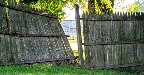 Fence Panels Ideas Diy, Repurposed Fence, Old Wood Fence Projects Diy, Fences From Pallets, Used Fence Boards Diy Projects, Scrap Fence Wood Projects, Diy Fence Board Projects, Crafts With Old Fence Boards, Old Wood Fence Ideas