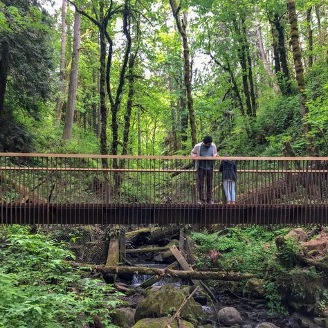 Small Bridge Design, Forest Park Design, Kinbane Castle, Timber Bridge, Forest Bridge, Gabion Walls, Landscape Bridge, Bridges Architecture, Small Bridge