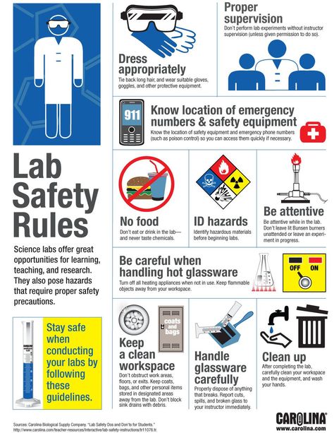 Infographic: Lab Safety Rules Science Lab Safety Rules, Lab Safety Poster, Lab Safety Rules, Science Lab Safety, Science Bulletin Board, Chemistry Lab Equipment, Science Safety, Safety Poster, Chemistry Lab