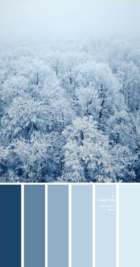 Blue Winter Colour Palette { Shades Of Blue Colour Scheme } Blue Colour Scheme, Blue Shades Colors, Blue Color Combinations, Powder Blue Color, Winter Color Palette, Colour Pallets, Color Schemes Colour Palettes, Blue Palette, Color Pallete