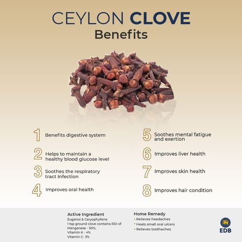 Clove Oil Benefits, Cloves Health Benefits, Cloves Benefits, Healthy Digestive System, Herbs For Health, Tea Benefits, Liver Health, Healing Herbs, Herbal Medicine