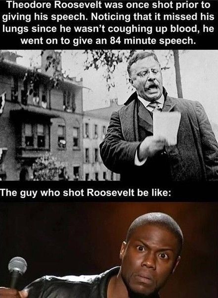 History Nerd Humor, History Memes Funny, Historical Humor, History Jokes, History Nerd, Nerd Humor, History Humor, Funny Images Laughter, Some Funny Jokes