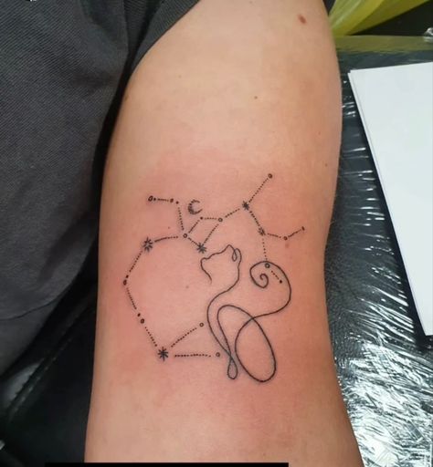 My star sign constellation Sagittarius and my beautiful 15 year old cat who tragically passed away recently, she is now a star in the sky 💫 Tattoo For Cat, Constellation Sagittarius, Sky Tattoo, Pet Memorial Tattoo, Sky Tattoos, Star In The Sky, Memorial Tattoo, My Star, Old Cats