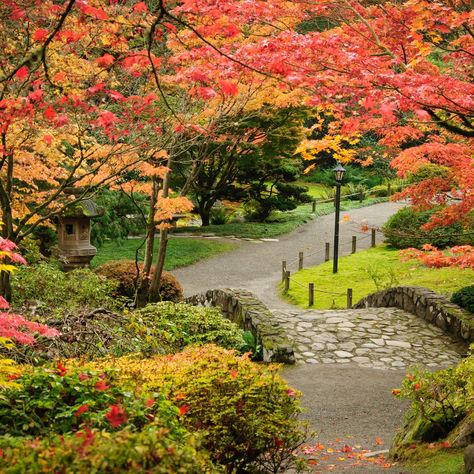 Washington Park Arboretum – Garden Review | Condé Nast Traveler Usa Vision Board, Tree Creature, Uw Seattle, Green Inferno, Washington Summer, Japanese Park, Types Of Gardens, Orange Groves, Washington State Travel