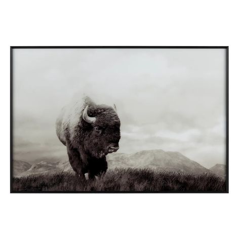 Bison Life - Crestview Collection Charcoal Color Scheme, Charcoal Landscape, Buffalo Wall Art, Dark Silhouette, How To Hang Wallpaper, Powerful Images, Into The Wild, Rustic Wall Art, Western Decor