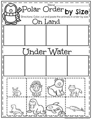 Arctic Animals Worksheets