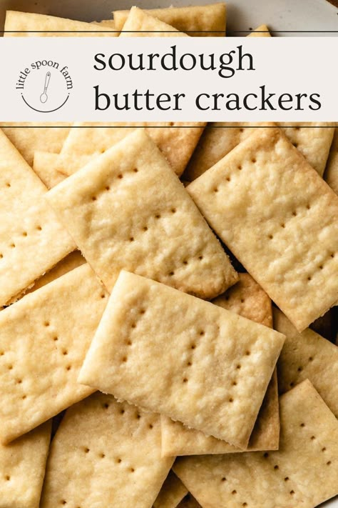 Use Sourdough Starter, Discard Crackers, Sourdough Starter Discard Recipes, Starter Discard Recipes, Everything Sourdough, Using Sourdough Starter, Recipe Using Sourdough Starter, Sourdough Bread Starter, Recipes Chili