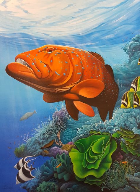 Coral Trout Commission Oil on Canvas Grouper Painting, Coral And Fish Drawing, Trout Images, Coral Grouper, Rainbow Trout Drawing, Coral Trout, Salmon Fish Art Paintings, Killer Whale Tattoo, Trout Painting