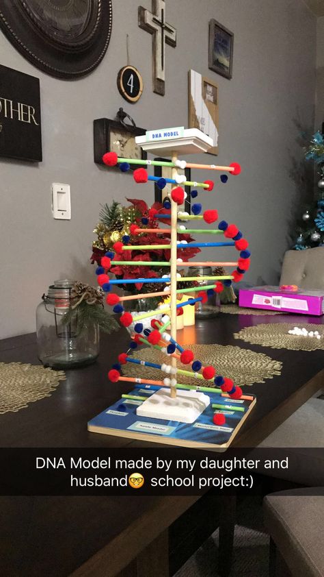 Homemade Dna Model, Dna Replication Model Project Biology, Dna Strand Project, 3d Dna Structure Project, Dna Replication Project, Dna Replication Model Project, Dna Model Project High Schools, Dna Project Models, Diy Dna Model