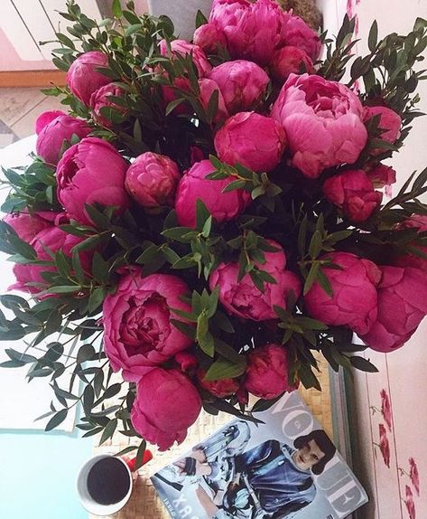 Hot Pink Peonies, Flowers Instagram, Pink Peony, Flower Lover, Pink Peonies, Flowers Nature, Beautiful Blooms, Love Flowers, My Flower