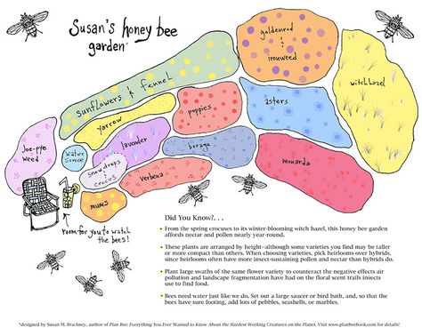 Plan the Perfect Garden for Honeybees - Hobby Farms Bee Garden Design, Honey Bee Garden, Butterfly Garden Design, Flower Garden Design, Bee Garden, Bee Friendly, School Garden, Pollinator Garden, Hobby Farms