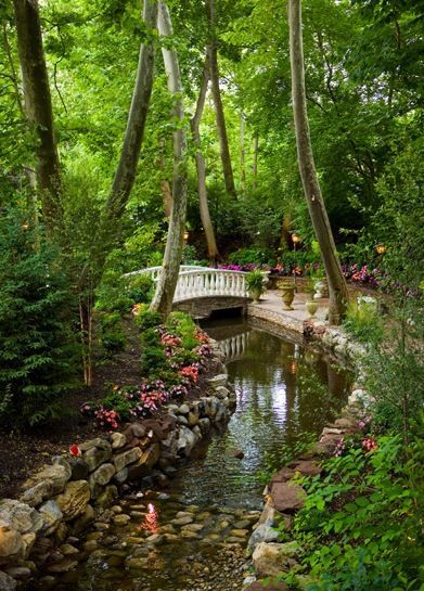 Beautiful Parks Garden, Backyard Forest Landscape, Small Park Design, Art In The Park, Beautiful Parks, Outdoor Park, Garden Wedding Venue, Garden Park, Beautiful Park