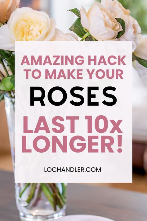 How to make your roses last longer! These easy DIY flower arrangement tips for your home will help you to create a gorgeous long lasting rose flower arrangement for vases in your home! The best home hack and life hack for making roses live longer! Easy Flower Arrangements Diy, Making Roses, Diy Flower Arrangement, Flowers Last Longer, Long Vase, Rose Flower Arrangements, How To Make Rose, Rose Recipes, Heirloom Roses