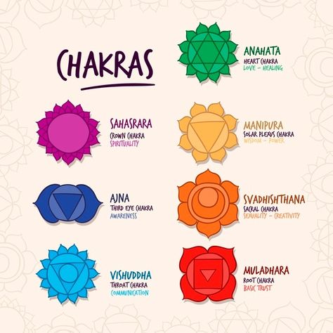 Colorful chakras set concept | Free Vector #Freepik #freevector #colorful #traditional #meditation #zen Chakra Color Palette, Reiki Journal, Witch Library, Doodle Bullet Journal, Warrior Mindset, Chakra Mandala, Chakra Tattoo, Yoga Chakra, Spiritual Journals