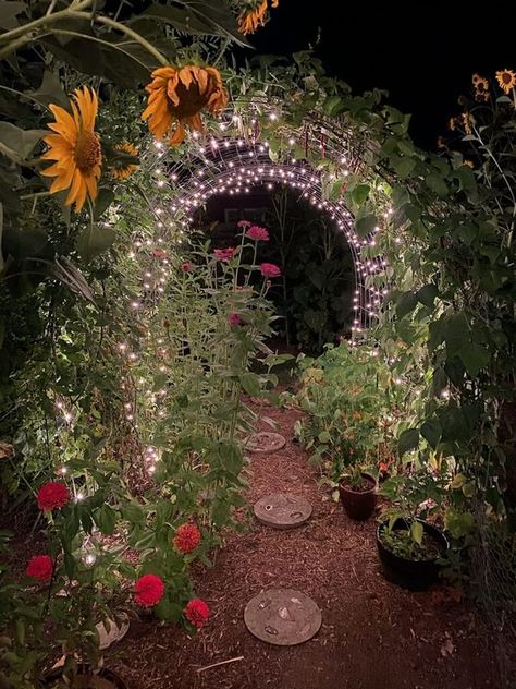 Tiny Secret Gardens | My friends magical garden | Facebook Woodland Centerpiece, Witchy Garden, Small Backyard Design Ideas, Goth Garden, Backyard Design Ideas, Future Garden, Garden Whimsy, Secret Gardens, Creative Gardening