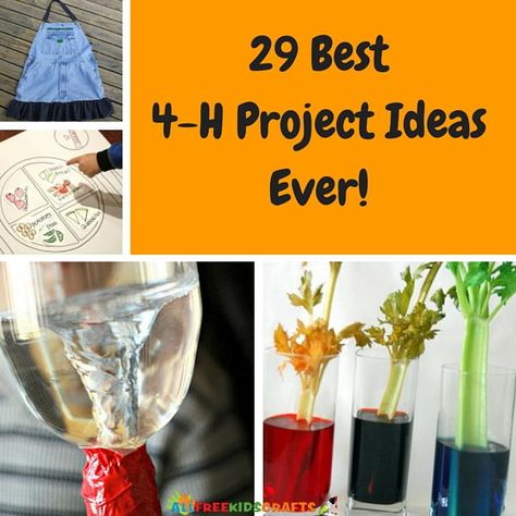 29 Best 4-H Project Ideas Ever | These would also make great science experiments for class. 4h Group Project Ideas, 4h Recycled Project Ideas, 4h Gardening Project Ideas, 4h Lessons Ideas, 4-h Games, Easy 4 H Projects Ideas, 4h Horticulture Projects, 4-h Craft Projects, 4h Cloverbud Projects Ideas