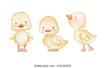 Duck Hat, Duck Illustration, Duck Drawing, Duck And Ducklings, Book Furniture, Cute Ducklings, Background Bright, Duck Cartoon, Baby Illustration