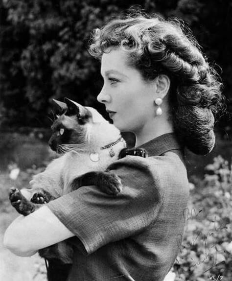 Vivienne Leigh, Vivian Leigh, A Streetcar Named Desire, Scarlett O'hara, Gossip Girls, International Cat Day, Gene Kelly, Vivien Leigh, Gemma Arterton