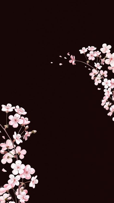 Japanese cherry blossom iPhone wallpaper, pink flowers background | premium image by rawpixel.com / Adjima Cherry Blossoms Wallpaper Aesthetic, Black Cherry Blossom Wallpaper, Cherry Blossom Iphone Wallpaper, Black And Pink Background, Cherry Blossom Wallpaper Iphone, Wallpaper Cherry Blossom, Cool Wallpaper For Macbook, Iphone Wallpaper Pink, Happy Birthday Flowers Wishes