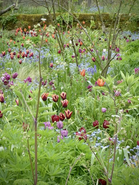 Garden Visit: 9 Ideas to Steal from the Bravura Planting at Gravetye Manor in Sussex - Gardenista Formal Planting, Gravetye Manor, Cottage Yard, Wild Gardens, Garden Of Good And Evil, Beautiful Gardens Landscape, Village Garden, Naturalistic Garden, Planting Schemes