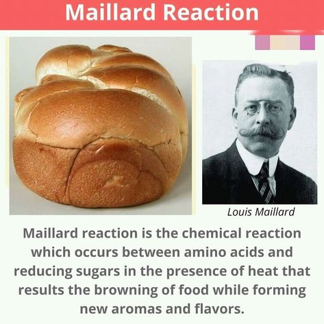 Enzymatic browning is generally undesirable. However, Non-enzymatic browning like Maillard reaction is beneficial. Maillard Reaction, Go Browns, Food Manufacturing, Chemical Reaction, Chemical Reactions, Food Science, Food Industry, Coffee Roasting, Browning