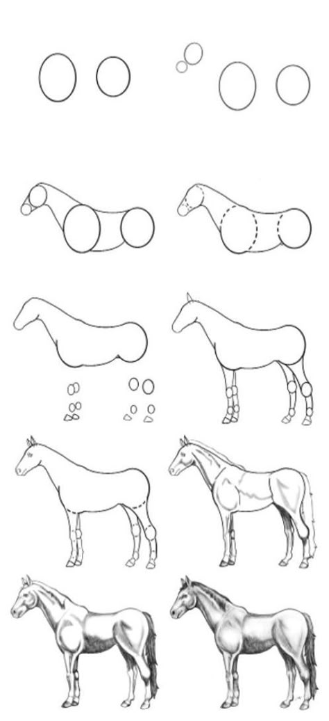 Horse Drawing Simple, Drawing A Horse, Easy Horse Drawing, Drawings Of Horses, Horse Drawing Tutorial, Horse Pencil Drawing, Animal Sketches Easy, Horses Funny, Drawing Horse