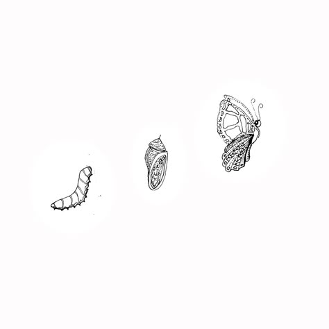 The Caterpillars Journey 🐛 ✨ A while ago I sketched a little doodle of a caterpillar drawing a butterfly 🦋 - #3 - I didn’t think much of it at the time, but when I was thinking of something to represent FrankCreates the caterpillar felt like a perfect fit. The caterpillar represents the beginning of an inevitable growth phase; caterpillar to chrysalis to butterfly 〰️ a process that requires time and effort on the caterpillars behalf, in order to fly 🦋✨🙌🏼 I’m approaching FrankCreates as ... Butterfly Cycle Drawing, Butterfly Phases Drawing, Caterpillar Graphic Design, Cattipillars Drawing, Caterpillar And Butterfly Tattoo, Caterpillar To Butterfly Drawing, Catipillar Drawing Simple, Catipillar To Butterfly, Catapillar Drawings