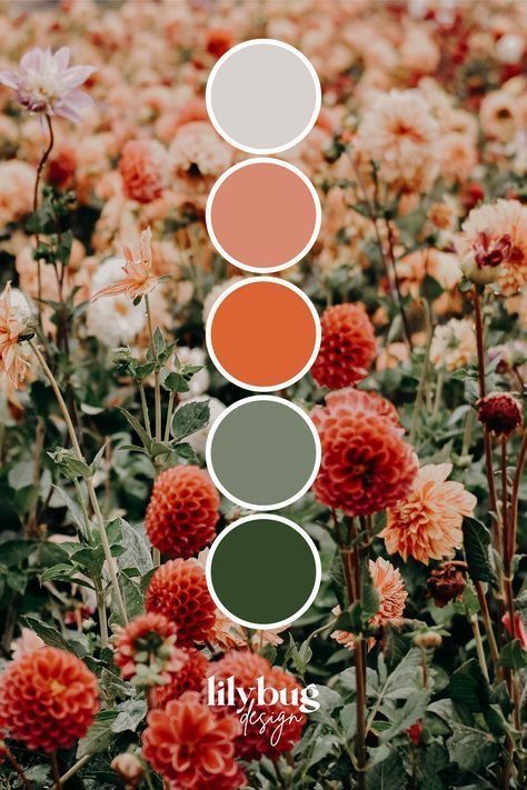 Floral Colour Palette, Colour Pallets, Color Schemes Colour Palettes, Palette Design, Color Palette Design, Color Inspo, Paint Colors For Home, Color Wheel, Colour Palettes