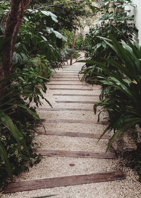 Tulum Resort Design, Tulum Landscaping, Tulum Garden Design, Tulum Mexico Interior Design, Jungle Garden Design, Tulum Landscape, Tulum Bathroom, Tulum Garden, Tulum Architecture